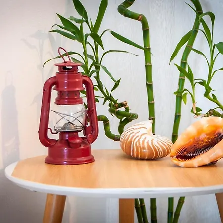 Appartamento Agata Rovigno