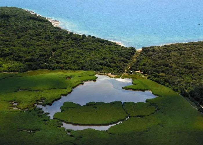 아파트 Agata 로비니